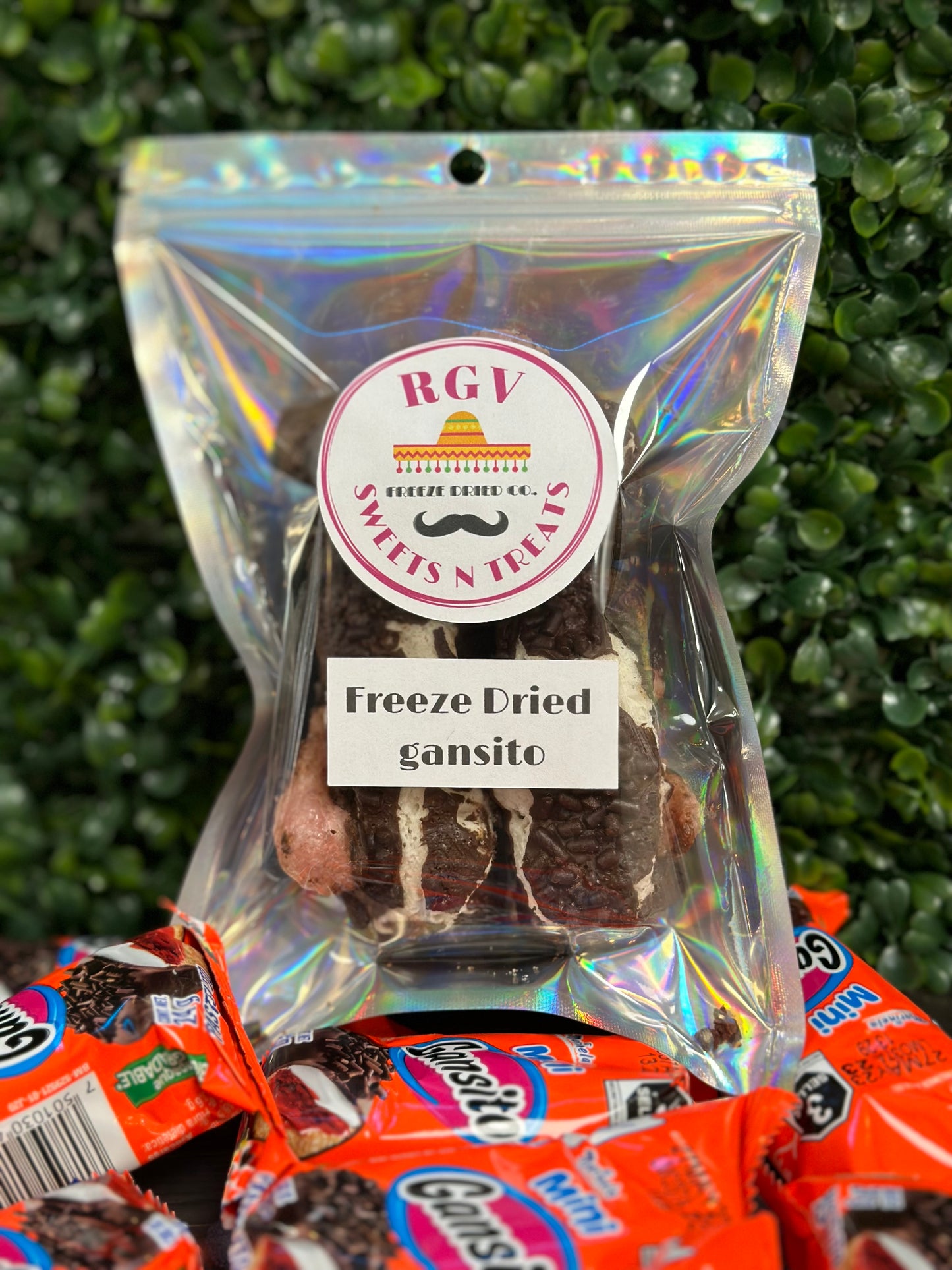 Freeze Dried Ganzo